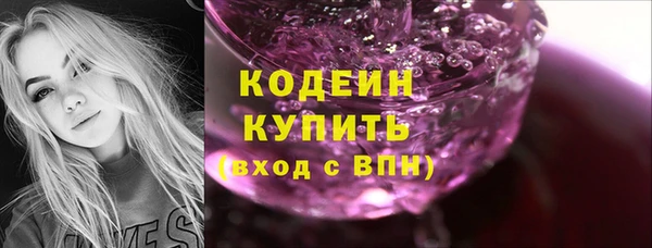 дурь Ельня
