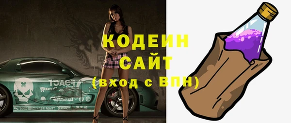 дмт Елизово