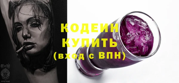 дмт Елизово