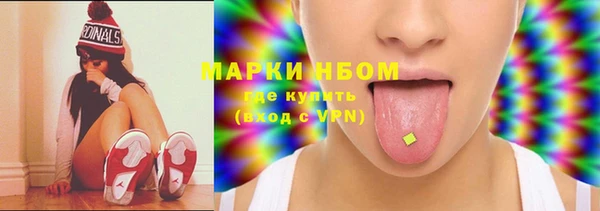 дурь Ельня