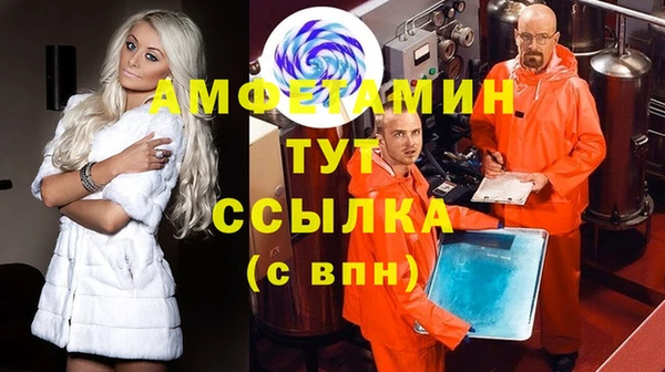 дмт Елизово