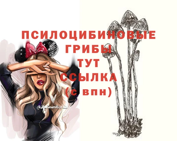 скорость mdpv Елабуга