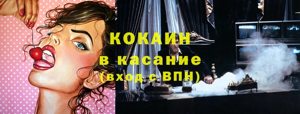 дмт Елизово