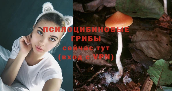 скорость mdpv Елабуга