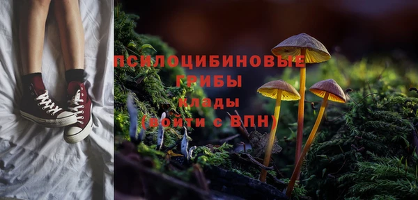 дмт Елизово