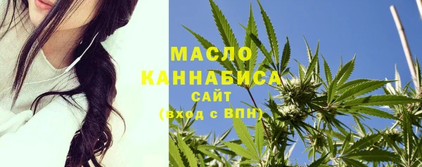дурь Ельня