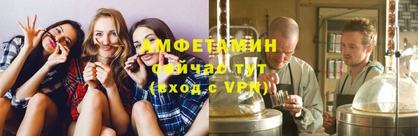 дурь Ельня