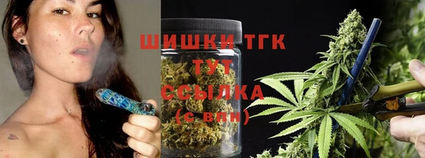 дурь Ельня