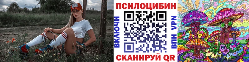 Галлюциногенные грибы Psilocybe  мориарти формула  Кисловодск 